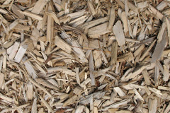 biomass boilers Golftyn