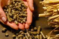 free Golftyn biomass boiler quotes
